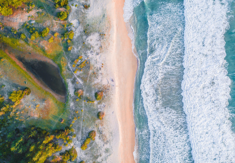 DROIT DE L’ENVIRONNEMENT